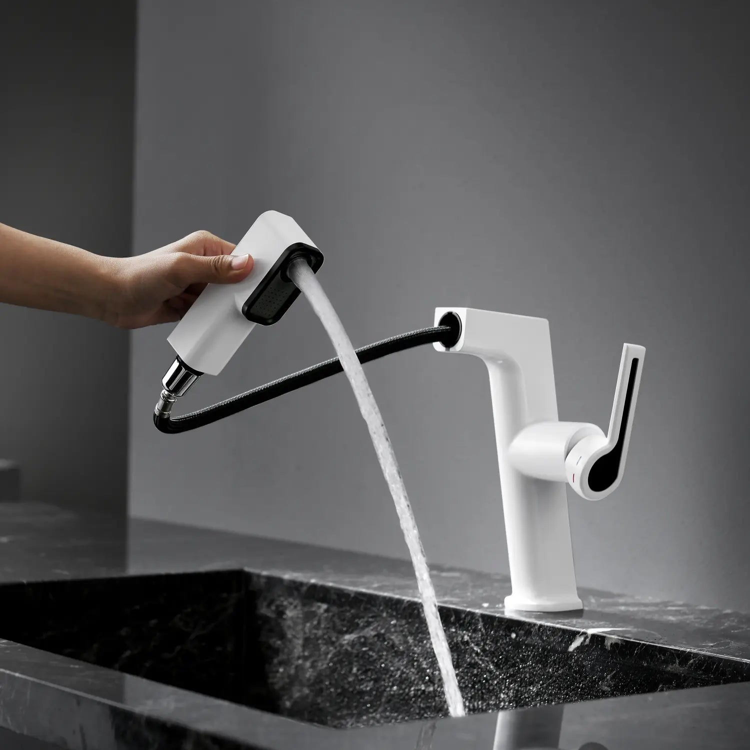 Loraven Pull-Out Faucet with Multi-Mode Sprayer-BF002