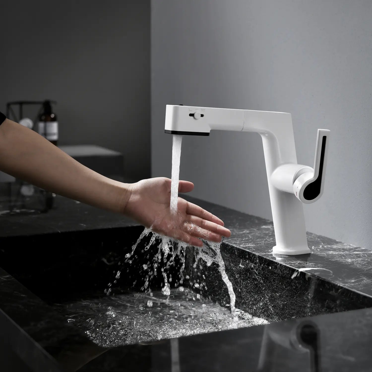 Loraven Pull-Out Faucet with Multi-Mode Sprayer-BF002